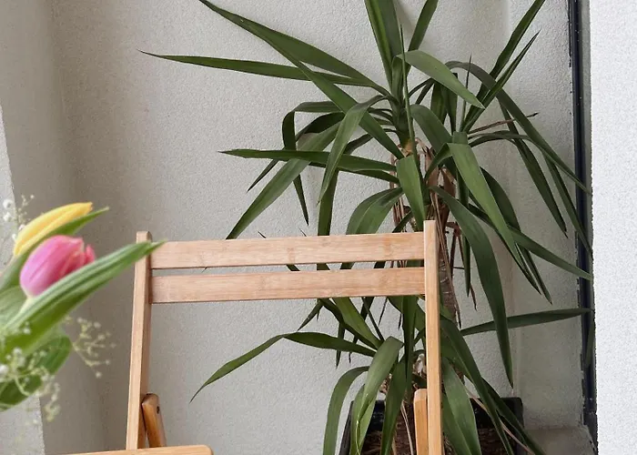 Nocleg ze śniadaniem 107 Dreams 3*