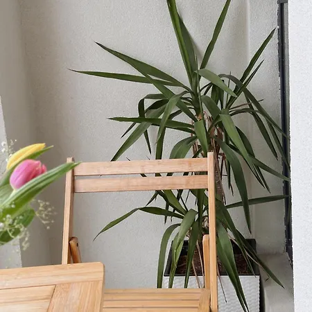 住宿加早餐酒店 107 Dreams 3*